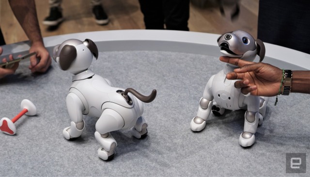 Sony Aibo на практике: очаровательный робот-щенок, который нуждается в обучении